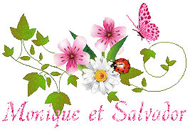 papillons-23079