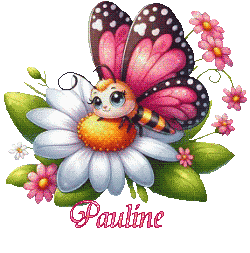papillons-25039