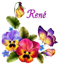 papillons-22051