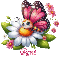 papillons-25039