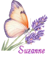 papillons-25050