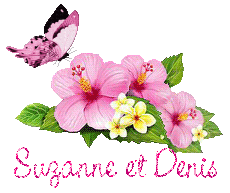 papillons-25071