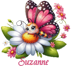 papillons-25039