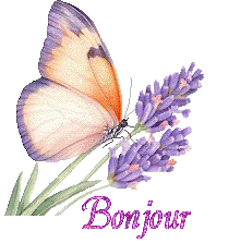 papillons-25050