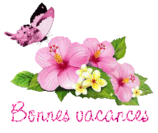 papillons-25071