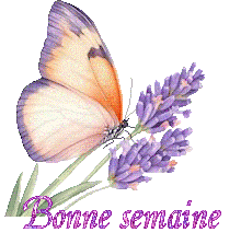 papillons-25050