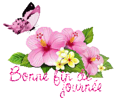 papillons-25071