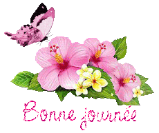 papillons-25071