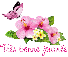 papillons-25071