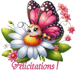 papillons-25039