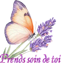 papillons-25050