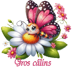 papillons-25039