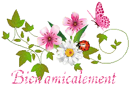 papillons-23079