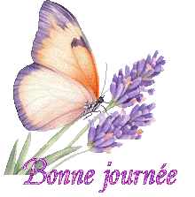 papillons-25050