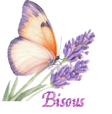papillons-25050