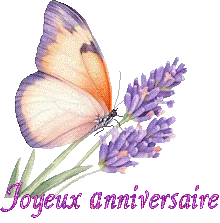 papillons-25050