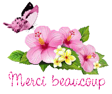 papillons-25071