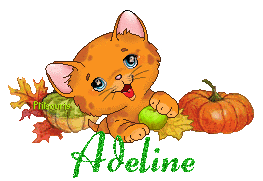 chat1992