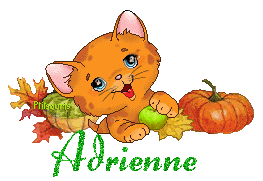 chat1992