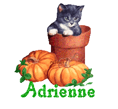 chat1993