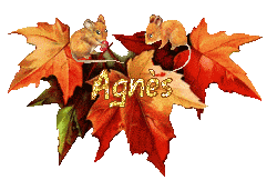 automne21094