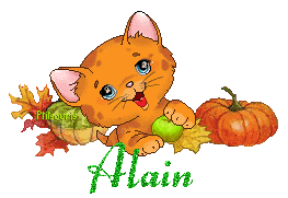 chat1992