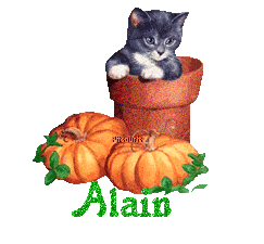 chat1993