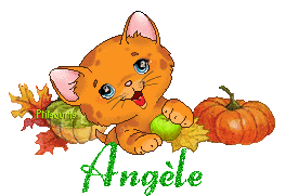 chat1992