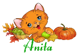 chat1992