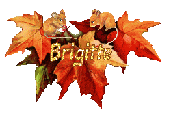 automne21094