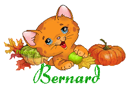 chat1992