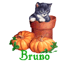 chat1993