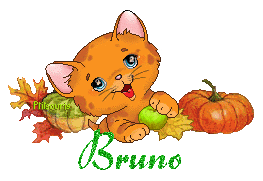 chat1992