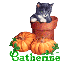 chat1993