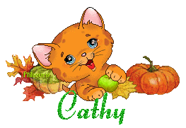 chat1992
