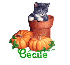 chat1993