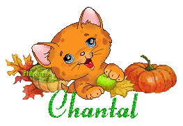 chat1992
