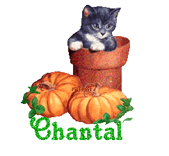 chat1993