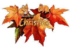 automne21094
