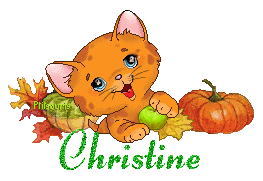 chat1992