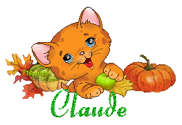 chat1992