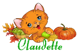 chat1992