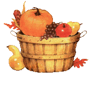 automne21107