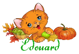 chat1992