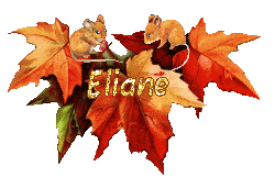 automne21094