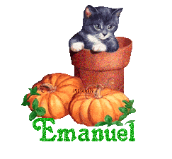 chat1993