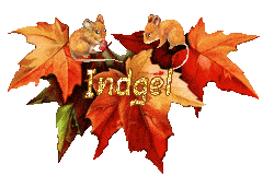 automne21094