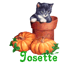 chat1993