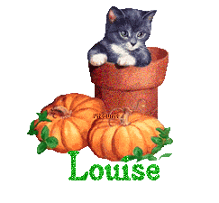 chat1993