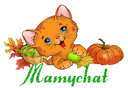 chat1992